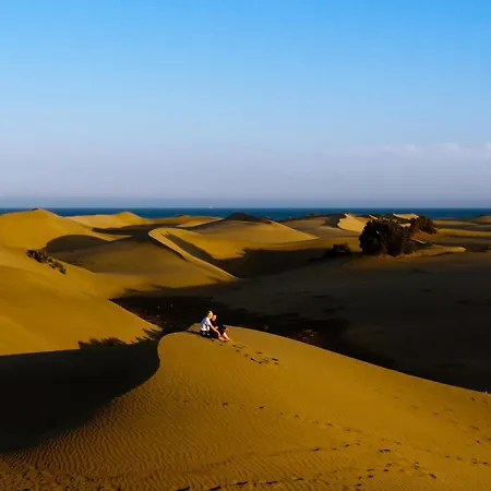 فندق ري كارلوس